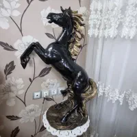 دکوری کنار سالنی