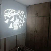 پروژکتور باغی