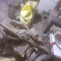 چوب مخصوص آتش