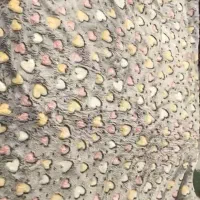 انواع پتو ژله ای|رختخواب، بالش، پتو|شاهرود, |دیوار