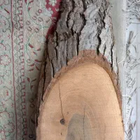 تخته چوب ۵۰ سانتی|مصالح و تجهیزات ساختمان|قم, سعادتی|دیوار