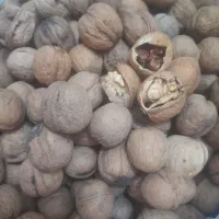 گردو با پوست