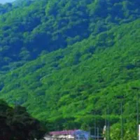 راهنمایی اجاره خانه و ویلا