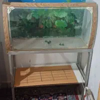 اکواریوم