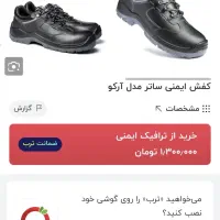 کفش ایمنی مارک ساتر سایز 41|کیف، کفش، کمربند|ایلام, |دیوار