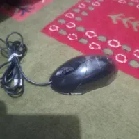 موس|قطعات و لوازم جانبی رایانه|همدان, |دیوار