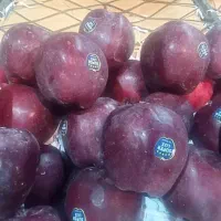 اجاره-قسمتی-از-بیرون-مغازه-برای-سبزی-فروشی