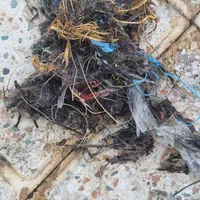 لوله بازکنی *منصف* این محل|خدمات پیشه و مهارت|خرمشهر, |دیوار