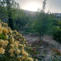 باغشهر ۱۰۰۰ متری قلات