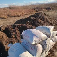 کود گوسفندی پوسیده شده