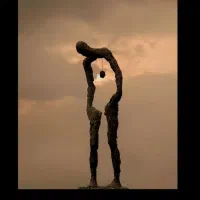 تحقیقاتی داوطلب