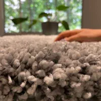 فروش ویژه اقساطی پالاز موکت|موکت|چالوس, |دیوار