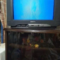 تلویزیون ۲۱ اینج با میز