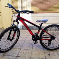 دوچرخه