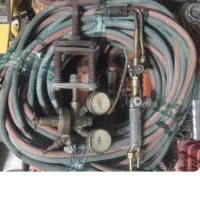 سر پیک زینسر آلمانی اصل