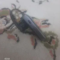 هندزفری بلوتوسی جبرا مدل مینی|پخشکننده همراه|ورامین, خورین|دیوار