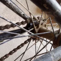 دوچرخه|دوچرخه، اسکیت، اسکوتر|سراوان, |دیوار