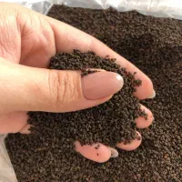 چای کله مورچه تا تناژ تامین مواد غذایی عمده و...