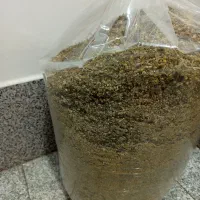 گل بابونه|خوردنی و آشامیدنی|شیراز, کوشک میدان|دیوار