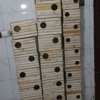 لانه ی عروس هلندی به قیمت عمده|لوازم جانبی حیوانات|محمدشهر, کوی بهار|دیوار