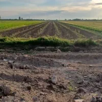 با سلام زمین کشاورزی با آب