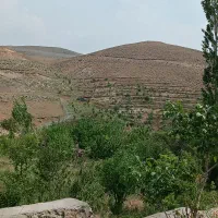 فروش زمین 307 متری با سند تک برگ و انشعابات کامل|فروش زمین و ملک کلنگی|لواسان, |دیوار