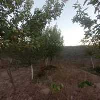 بورس خرید فروش باغ ویلا و باغچه زمین شهرک باغی|فروش خانه و ویلا|مشهد, درزآب|دیوار