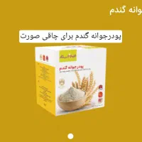 جوانه گندم