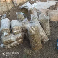 ذرت برا فروش|حیوانات مزرعه|سنگدوین, |دیوار