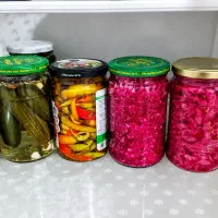 انواع ترشیجات و خیار شور