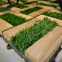 قرنیز،پی وی سی،تایل،ترمو وال