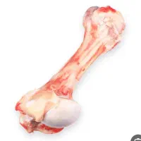 قلم گوساله