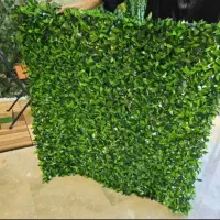 فنس چمنی یا دیوار پوش ریحان