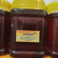 عسل گشنیز اعلا و خالص بار تازه