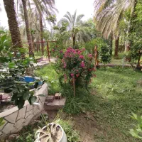 آگهی استخدام فوری