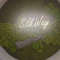 نیرو خدماتی در میهمانپذیر