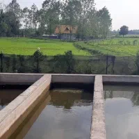 فروش استخر بتنی ۱۰ تنی ماهی قزل‌آلا با سند تک برگ|فروش دفتر صنعتی، کشاورزی، تجاری|ماسال, |دیوار