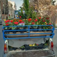 باغبانی|خدمات باغبانی و درختکاری|تهران, تهرانپارس شرقی|دیوار