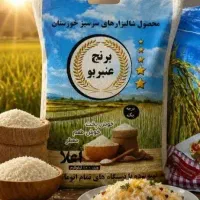 برنج عنبربو،فجر،کامفیروز،لنجان