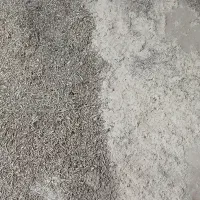 پوشال. خاک اره|لوازم جانبی حیوانات|قرچک, شهرک صنعتی قرچک|دیوار