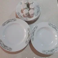 ظروف پذیرایی