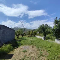 زمین ۸۴۰ متری با ویوی جنگل زیر قیمت