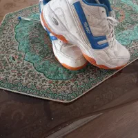 کفش والیبال