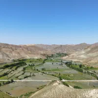 اقامتگاه سوییت بومگردی