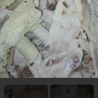 نان خشک برای دام