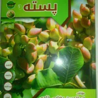 کتاب پسته