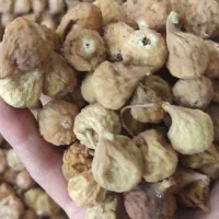 انجیر دیم گوشتی خوش طعم فقط مصرف کننده|خوردنی و آشامیدنی|شیراز, کوشک میدان|دیوار