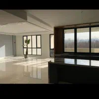قبل فرهنگ/مدرن/یه کار قوی/رو‌ دست این پروژه نیستش