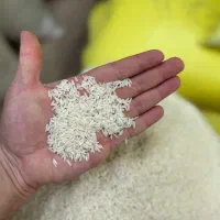 برنج هاشمی و...