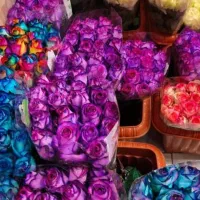 گل وگیاه پایه ترحیم تکی ب قیمت کلی